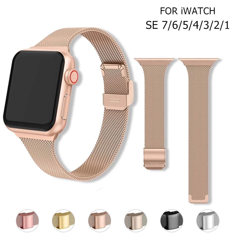 Apple Watch 밴드 용 스테인레스 스틸 메쉬 스 - Mesh Coil Strip 리뷰 및 가격