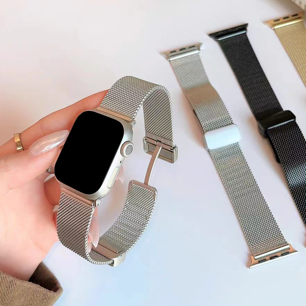 Apple Watch Ultra 2 1 밴드 용 루프  - Mesh Coil Strip 리뷰 및 가격